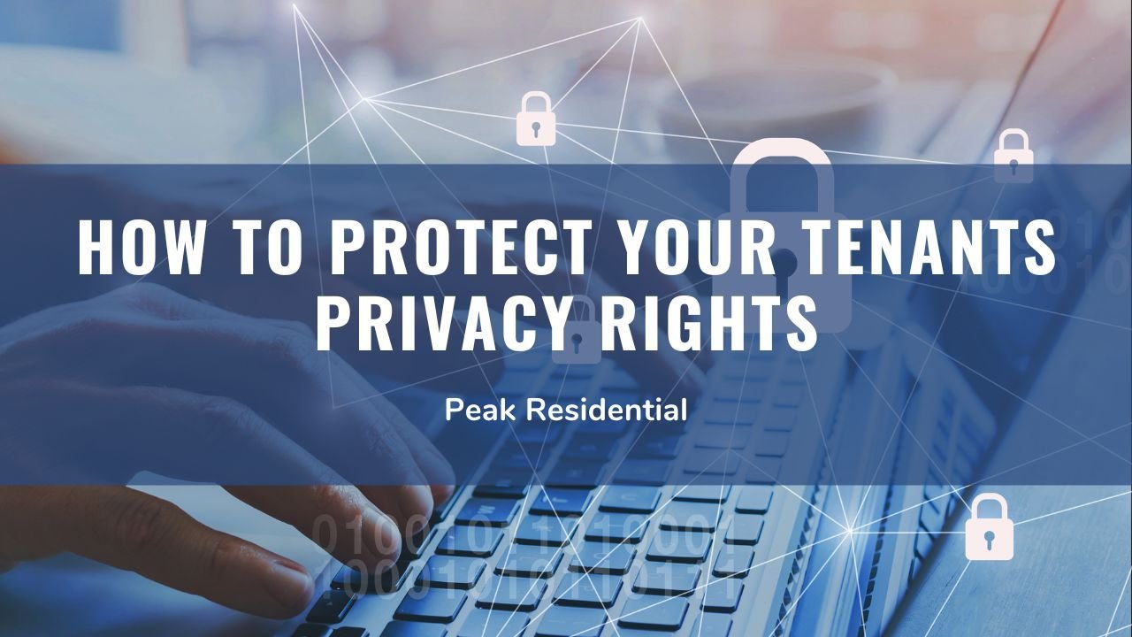 7 Safe Rent Habits That Protect Your Privacy